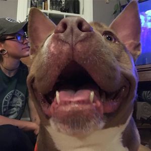 Meet your Posher, Grace